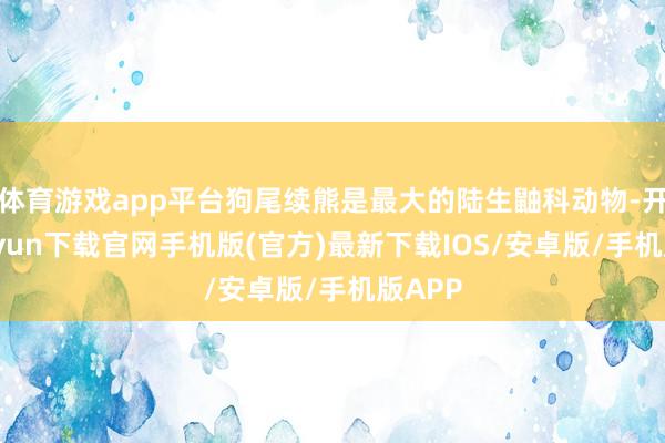 体育游戏app平台狗尾续熊是最大的陆生鼬科动物-开云kaiyun下载官网手机版(官方)最新下载IOS/安卓版/手机版APP