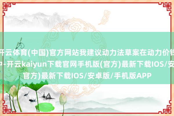 开云体育(中国)官方网站我建议动力法草案在动力价钱酿成机制的成分中-开云kaiyun下载官网手机版(官方)最新下载IOS/安卓版/手机版APP