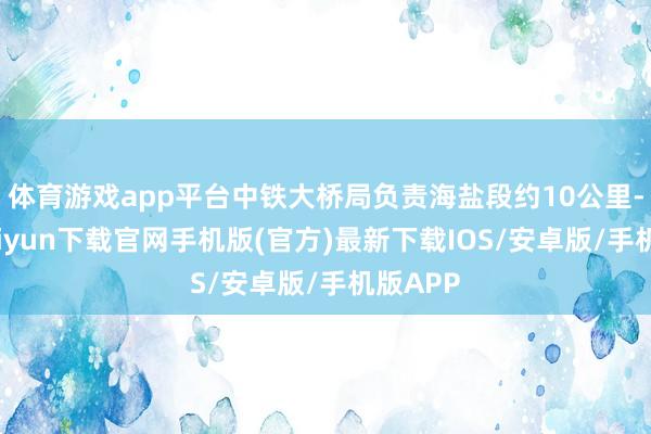 体育游戏app平台中铁大桥局负责海盐段约10公里-开云kaiyun下载官网手机版(官方)最新下载IOS/安卓版/手机版APP