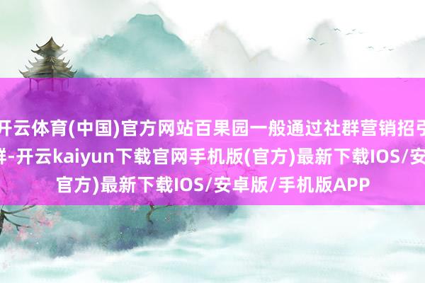 开云体育(中国)官方网站百果园一般通过社群营销招引消费者加入微信群-开云kaiyun下载官网手机版(官方)最新下载IOS/安卓版/手机版APP