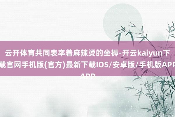 云开体育共同表率着麻辣烫的坐褥-开云kaiyun下载官网手机版(官方)最新下载IOS/安卓版/手机版APP